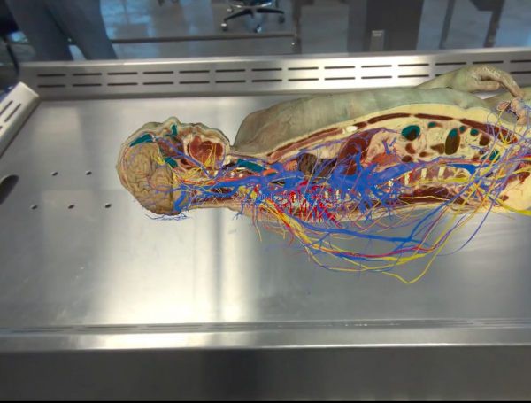 虚拟现实|虚拟仿真|三维虚拟技术|可视化工程|虚拟仿真交互|航空航天|汽车仿真|轮船仿真|列车仿真|多媒体应用|轨道交通|船舶制造|能源矿业|电力仿真|游戏开发|虚拟漫游|建筑设计|石油钻井|核能开放|互动营销|展览展示|爱迪斯通