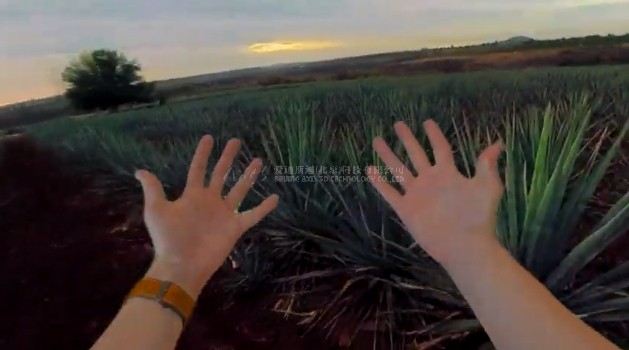 虚拟现实|虚拟仿真|三维虚拟技术|可视化工程|虚拟仿真交互|航空航天|汽车仿真|轮船仿真|列车仿真|多媒体应用|轨道交通|船舶制造|能源矿业|电力仿真|游戏开发|虚拟漫游|建筑设计|石油钻井|核能开放|互动营销|展览展示|爱迪斯通 虚拟现实|虚拟仿真|三维虚拟技术|可视化工程|虚拟仿真交互|航空航天|汽车仿真|轮船仿真|列车仿真|多媒体应用|轨道交通|船舶制造|能源矿业|电力仿真|游戏开发|虚拟漫游|建筑设计|石油钻井|核能开放|互动营销|展览展示|爱迪斯通