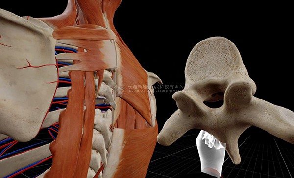 虚拟现实|虚拟仿真|三维虚拟技术|可视化工程|虚拟仿真交互|航空航天|汽车仿真|轮船仿真|列车仿真|多媒体应用|轨道交通|船舶制造|能源矿业|电力仿真|游戏开发|虚拟漫游|建筑设计|石油钻井|核能开放|互动营销|展览展示|爱迪斯通