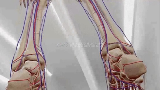 虚拟现实|虚拟仿真|三维虚拟技术|可视化工程|虚拟仿真交互|航空航天|汽车仿真|轮船仿真|列车仿真|多媒体应用|轨道交通|船舶制造|能源矿业|电力仿真|游戏开发|虚拟漫游|建筑设计|石油钻井|核能开放|互动营销|展览展示|爱迪斯通